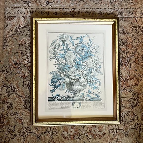 Vtg SEPTEMBER from Twelve Months of Flowers by Robert Furber (C.1674-1756)CANADA - Picture 11 of 15